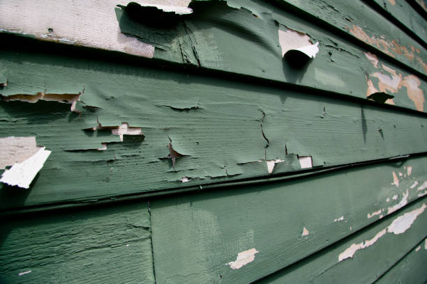 Storm Damage Siding Repair in Coldspring, TX